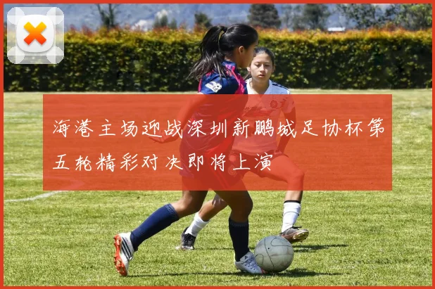 海港主场迎战深圳新鹏城足协杯第五轮精彩对决即将上演