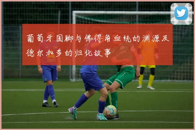 葡萄牙国脚与佛得角血统的渊源及德尔加多的归化故事
