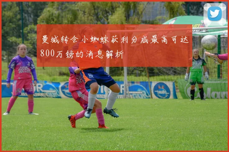 曼城转会小蜘蛛获利分成最高可达800万镑的消息解析