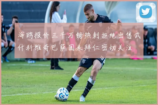 海鸥报价三千万镑热刺拒绝出售武什科维奇巴萨国米拜仁密切关注
